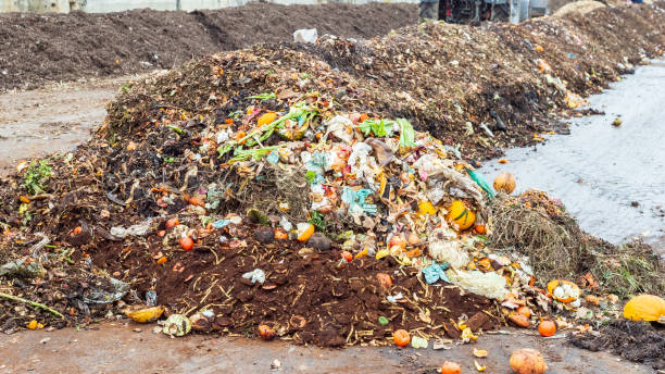 The Environmental Impact of Organic Waste Disposal